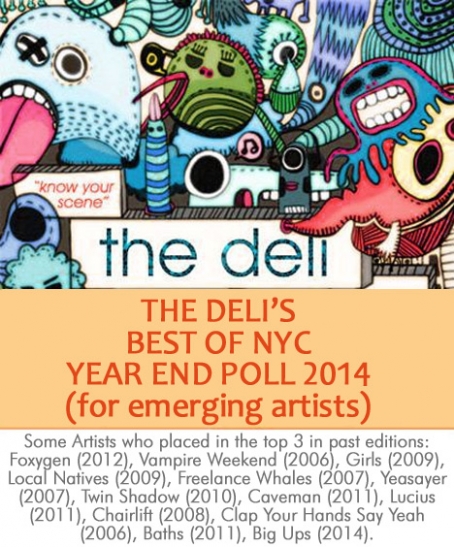 Best of NYC 2014 Poll for Emerging Artists – ACCEPTING SUBMISSIONS!