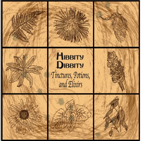 Hibbity Dibbity Celebrate Their Album Release at The Chapel – 3/5