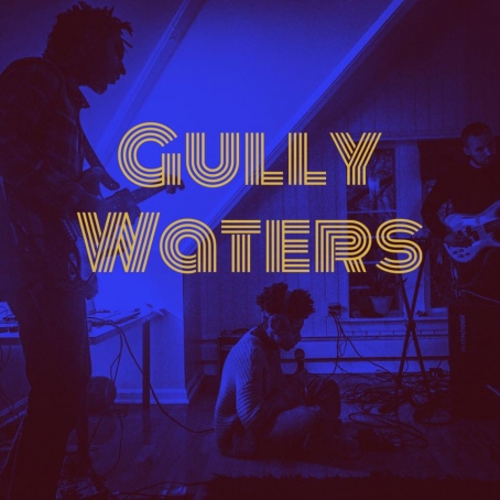DC-based Gully Waters Experiment With new single Quiet, play Velvet Lounge, 2/28