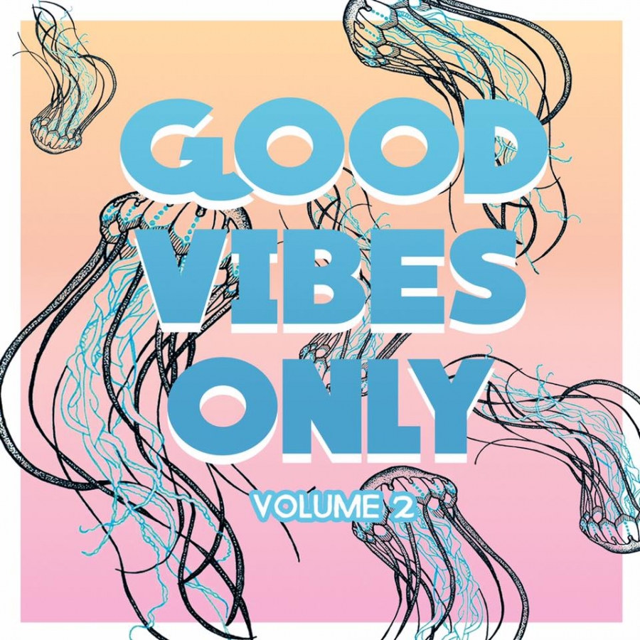 Love Nothing’s “Waiting for Godot” Featured in Good Vibes 2nd Volume Compilation, House Show with New Bassist Tonight