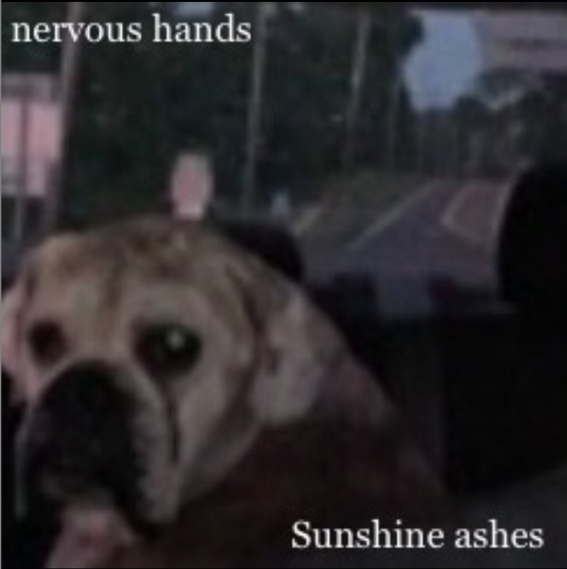 New Track: “Sunshine Ashes” – Nervous Hands