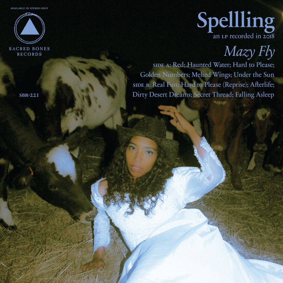 Spellling’s Cryptic Mazy Fly Released February 22