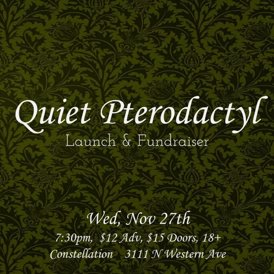 Quiet Pterodactyl Launch Event @ Constellation (11/27)