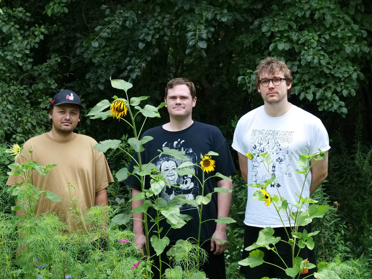 Summer 2000 “lady beetle // cruel stability”