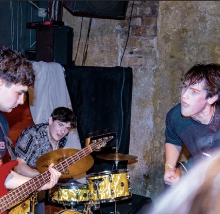 Animal Panic “Drama”