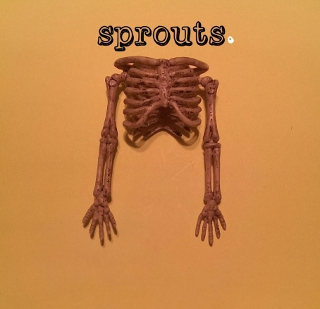 Eastern Phoebes keeps it short and sweet on “Sprouts” EP