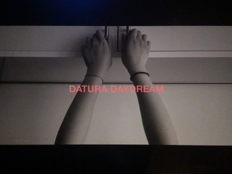 Datura Daydream Drop Deadly Dramatic Debut